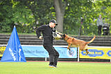 Farun des chiens de travail