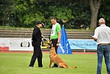 working-dog Esh