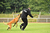 working-dog Esh