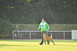 working-dog Esh