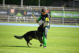 Quincy vom dunklen Zwinger
