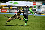 Quincy vom dunklen Zwinger