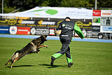 Quincy vom dunklen Zwinger