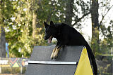 Slim von der Rußhütte