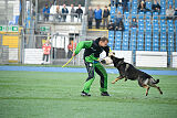 Sato European K9 training Base