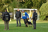 Bingo vom Peiner Burgpark