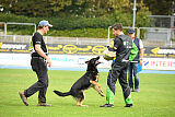 Bingo vom Peiner Burgpark