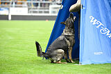 Tika van Arne`s Hoeve