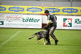 Chapa vom Drachenwolf
