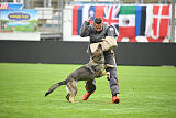 Blondy von Starker Wille