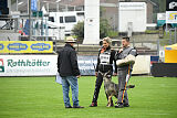 Blondy von Starker Wille
