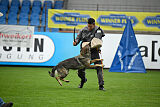 Blondy von Starker Wille