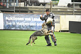 Blondy von Starker Wille