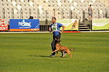 Ager Veranis K-9 Dog Center
