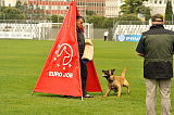 Fox von der schoenen Ecke