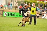 Fred vom Brunsbeker Land