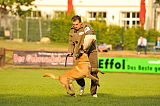 Alan edin dvor