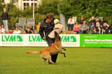 Alan edin dvor