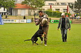 Ron vom Edertal