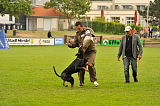 Ron vom Edertal