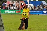 Askaban vom Wiesenholz