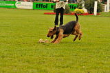 Pepper vom Steinbacher Berg
