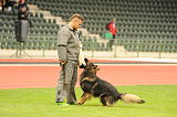 U2 vom Sunnenbrink