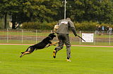 Djuke vom Steinteich
