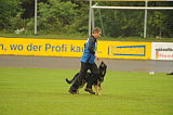 Djuke vom Steinteich
