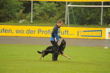 Djuke vom Steinteich