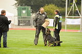 Gerry vom Waisagrund