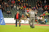 Daisy vom Isarland