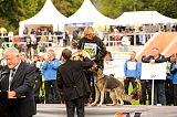 BSP 2013 Siegerehrung