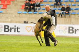 Ferco van de Utadreef