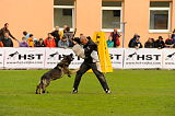 Nederholms Heart van de Flex