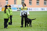 Hataro vom Lindelbrunn