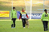 Granata iz Gratsiano