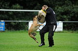 Pepper vom Further Moor
