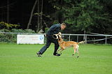Nanuk vom Further Moor