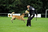 Nanuk vom Further Moor