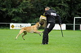 Nanuk vom Further Moor