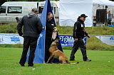 Nanuk vom Further Moor