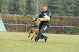 Treff vom Bodenholz