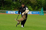 Joy vom schnellen Fuchs