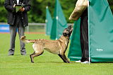 Joy vom schnellen Fuchs