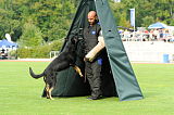 Cidman vom Wolfsdreieck