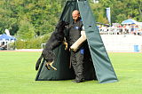 Cidman vom Wolfsdreieck