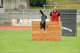 Cidman vom Wolfsdreieck