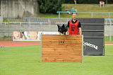 Cidman vom Wolfsdreieck