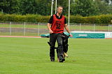 Cidman vom Wolfsdreieck
